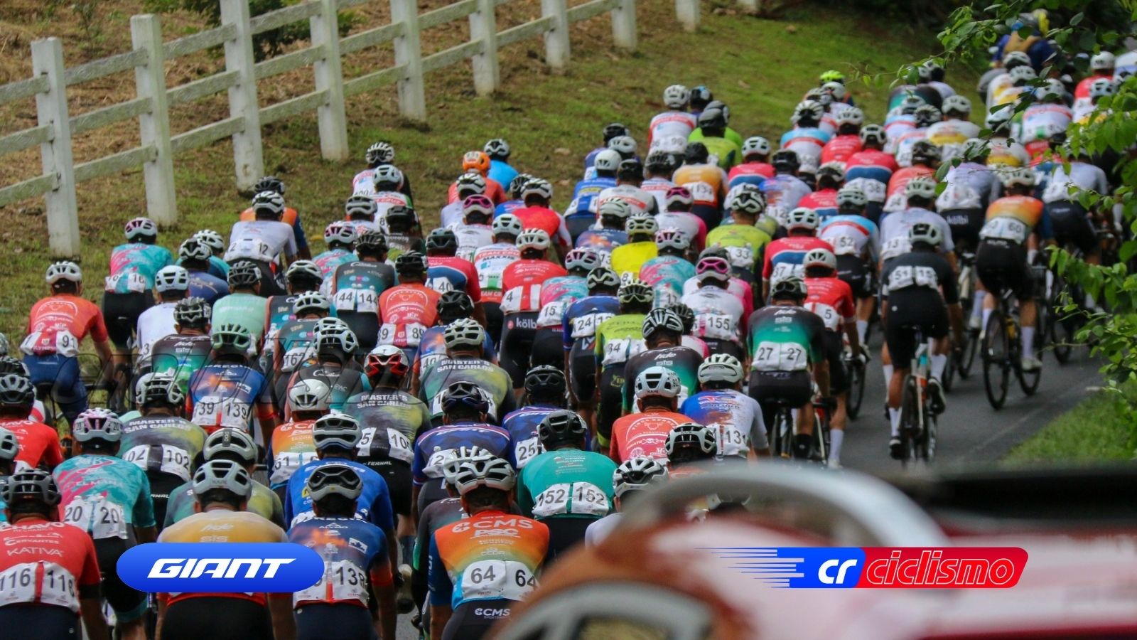 35 ciclistas mueren en promedio al año en Costa Rica